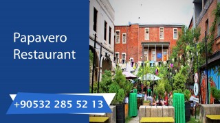 Papavero   Restaurant 